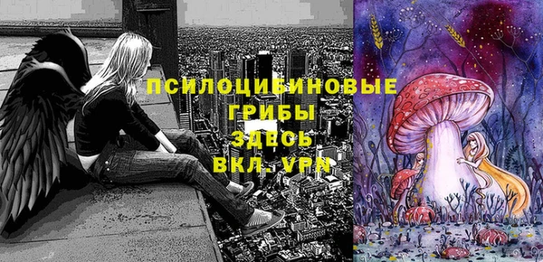 mdpv Ладушкин