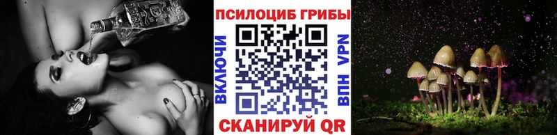 Галлюциногенные грибы прущие грибы  Купить закладки  Тотьма 